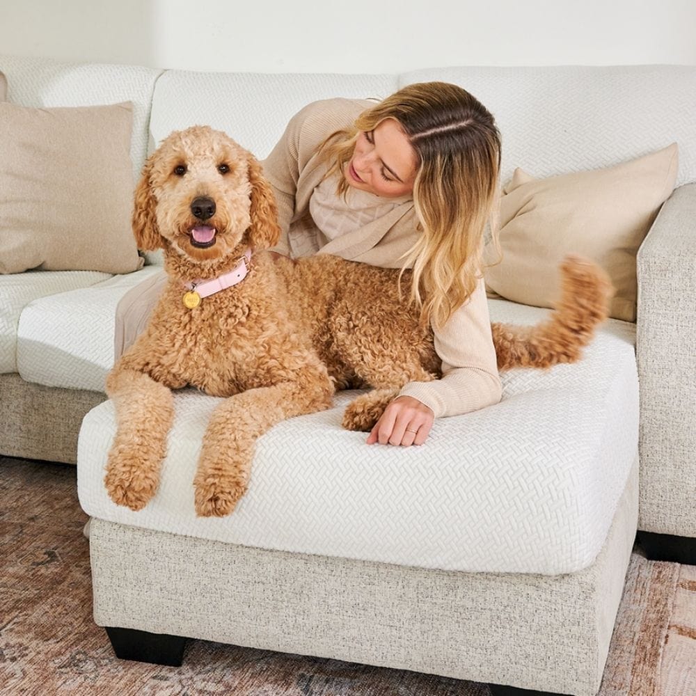 Sofina Sofa Covers