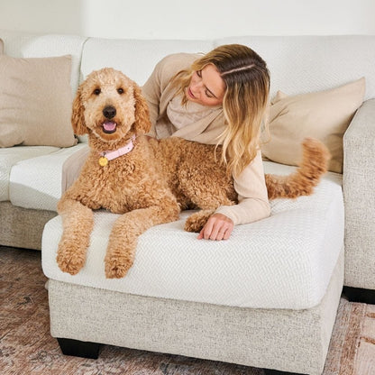 Sofina Sofa Covers