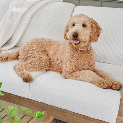 Sofina Sofa Covers